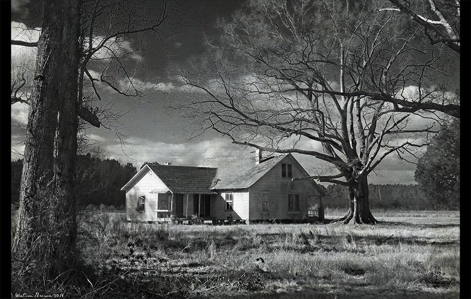 A black and white photo of a singular house with trees covering surrounding it.