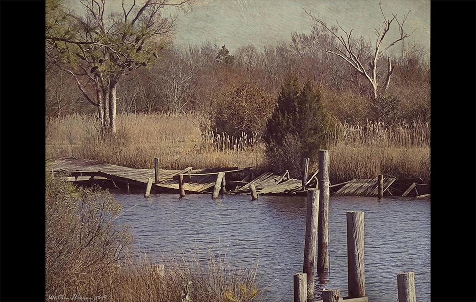 Photo of an seemingly broken wooden pier with several pieces in the water below. Trees and tall grass surround the outskirts of the photos