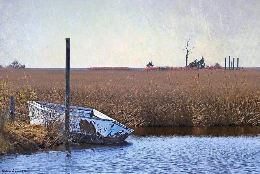 A single rusted boat floating at the edge of a body of water surrounded by tall grass