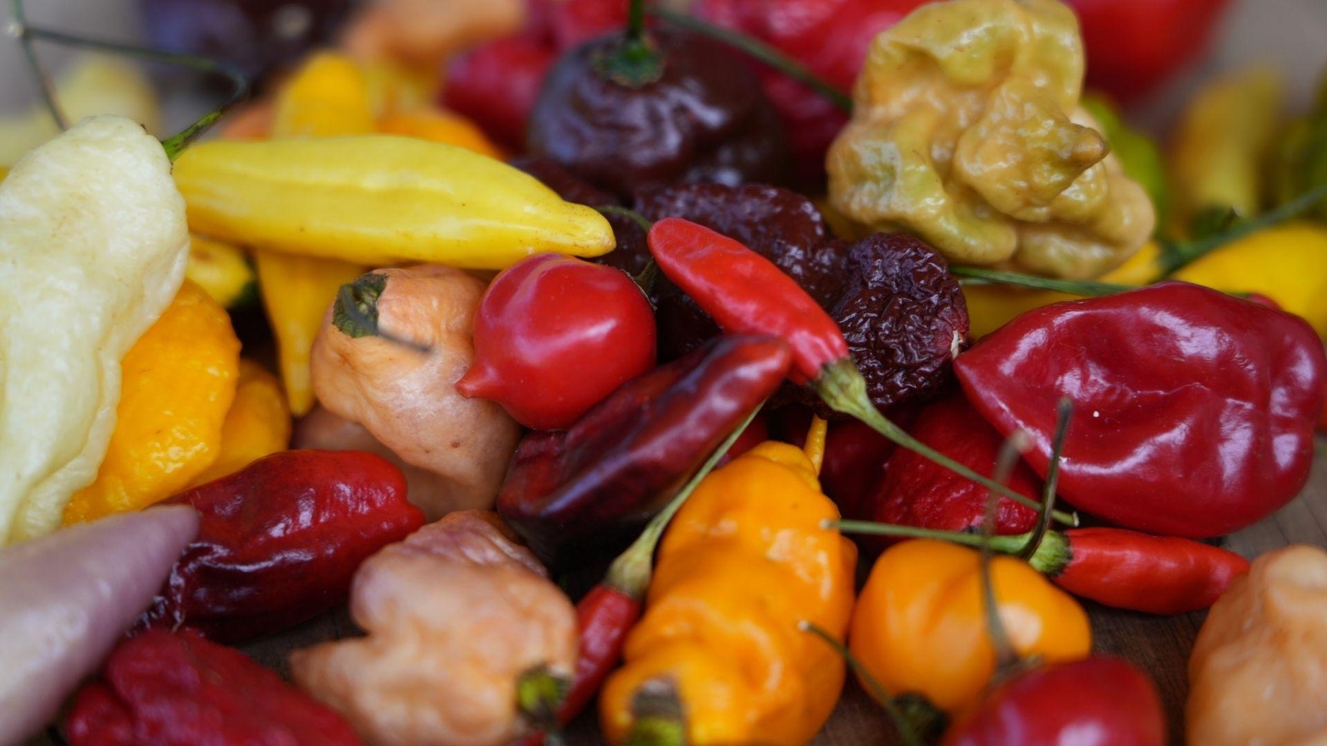 A variety of peppers in different shades of reds, yellows, pinks and whites.