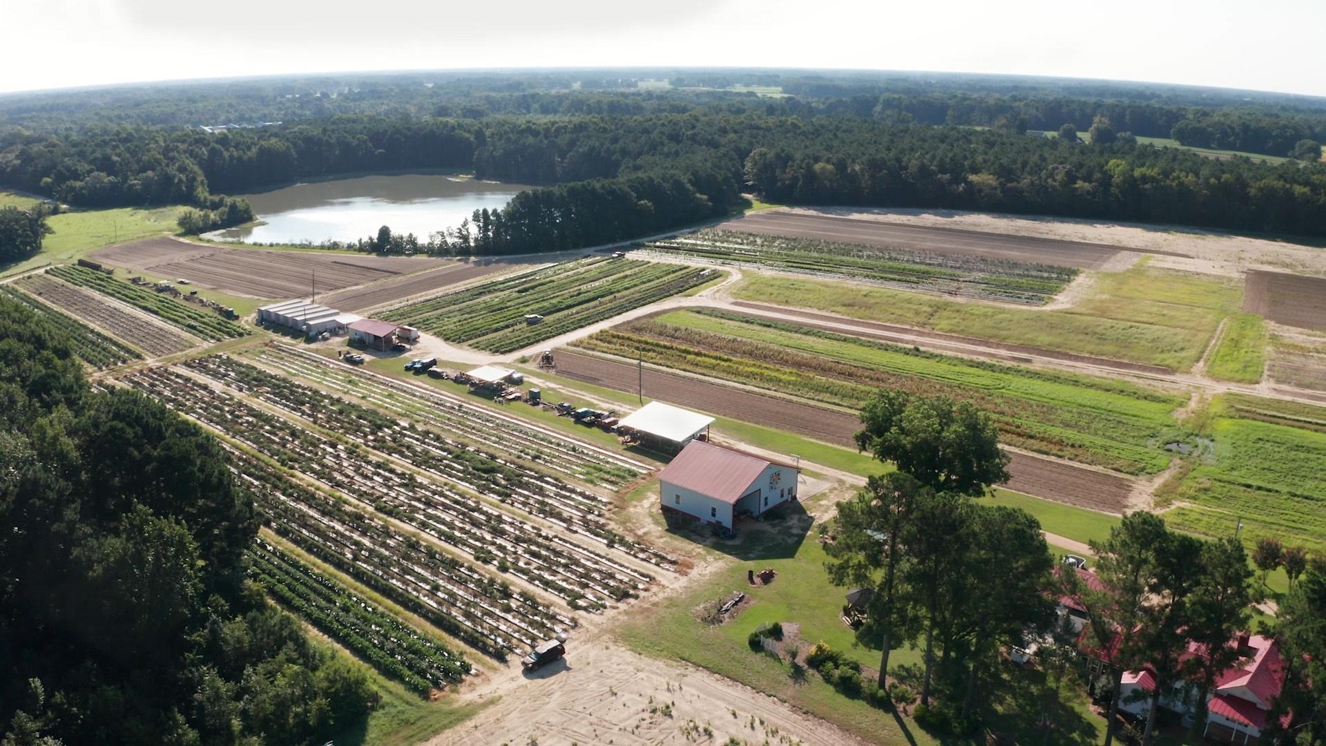 The Moore family farm from an aerial view.