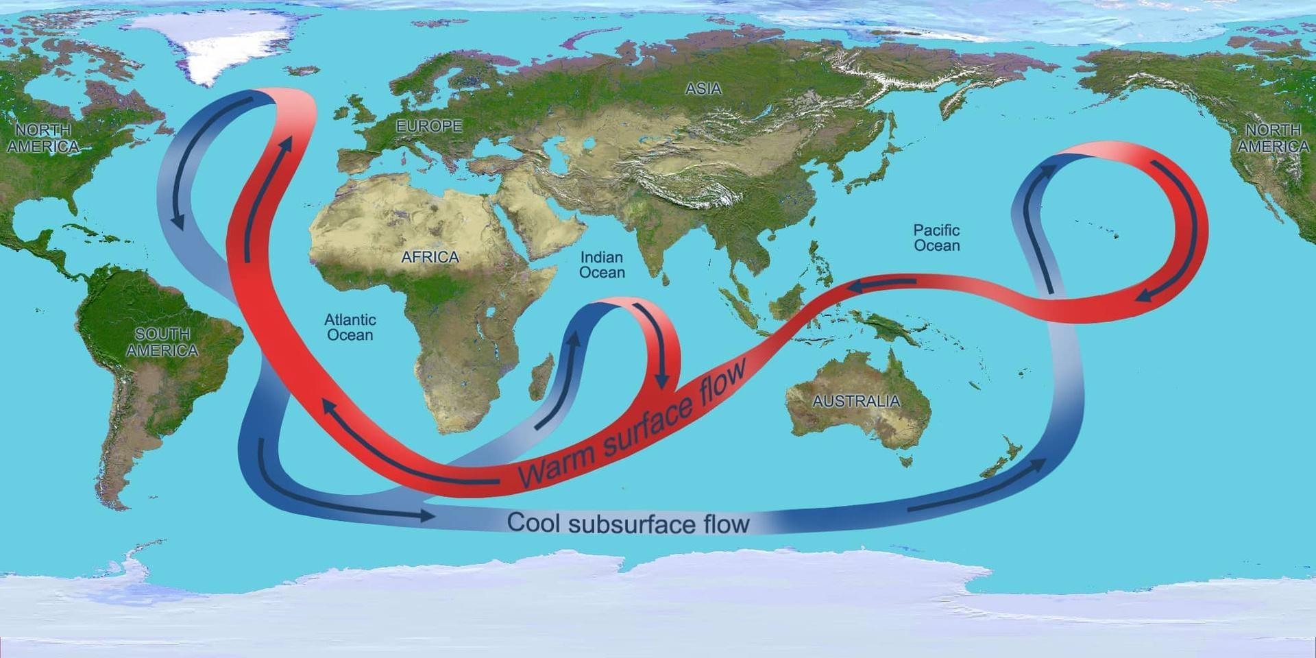 lllustration depicting the overturning circulation of the global ocean. Throughout the Atlantic Ocean, the circulation carries warm waters (red arrows) northward near the surface and cold deep waters (blue arrows) southward.