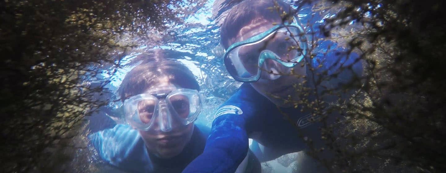 Two underwater snorkelers wearing masks peer towards the camera