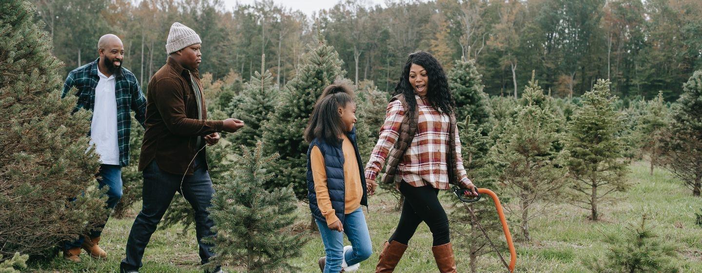 A black family walking through a pine tree farm.