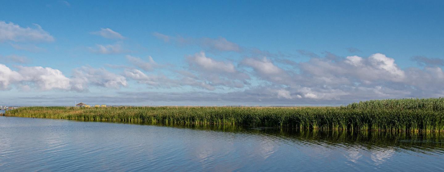 marsh-surrounded sound, marsh-surrounded inlet