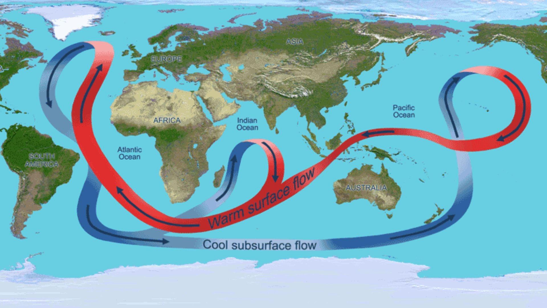 illustration depicting the overturning circulation of the global ocean. Throughout the Atlantic Ocean, the circulation carries warm waters (red arrows) northward near the surface and cold deep waters (blue arrows) southward.