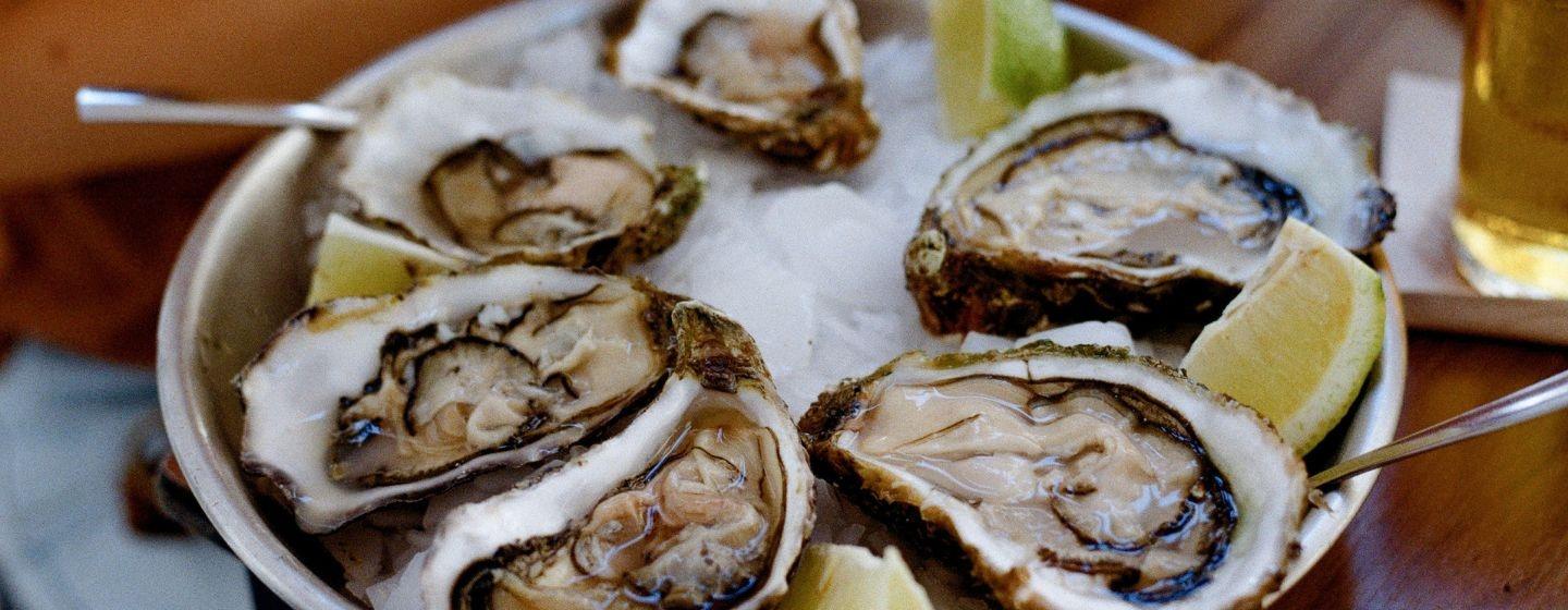 A platter or fresh oysters served on ice with lime wedges.