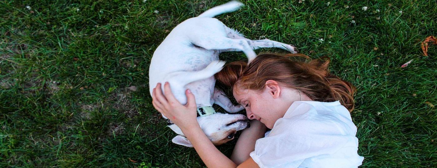 dog with girl lying on grass hugging from above