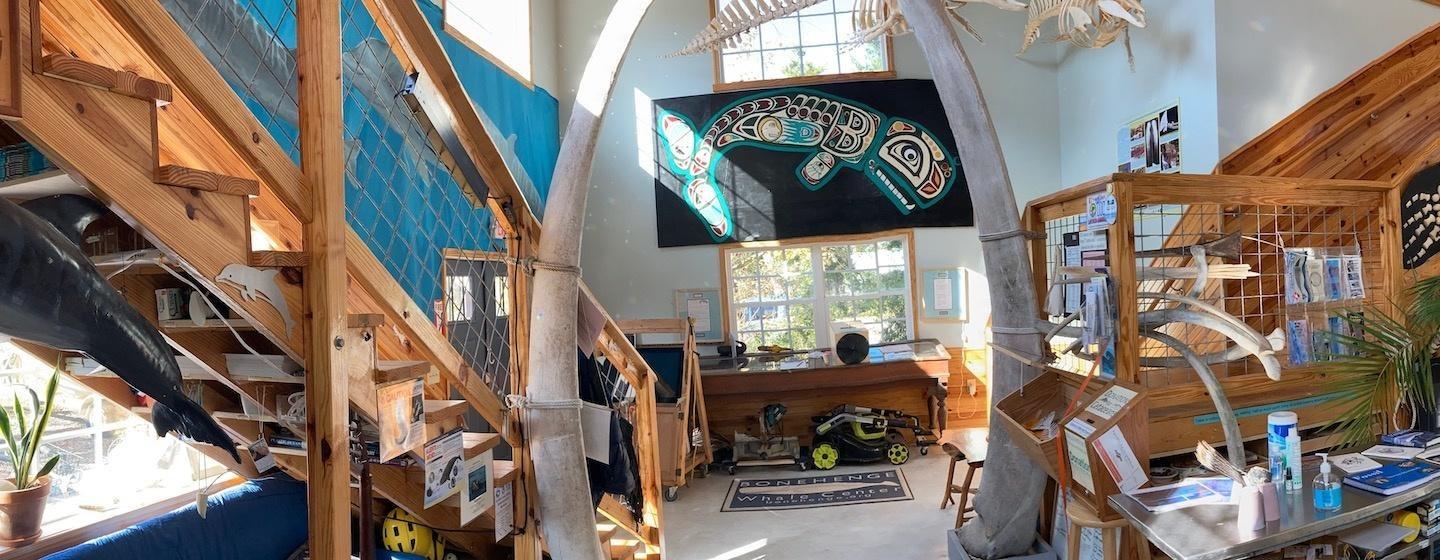 bonehenge whale center, wooden bungalow with blue painted walls cedar stairs and whale paraphernalia, bonehenge 