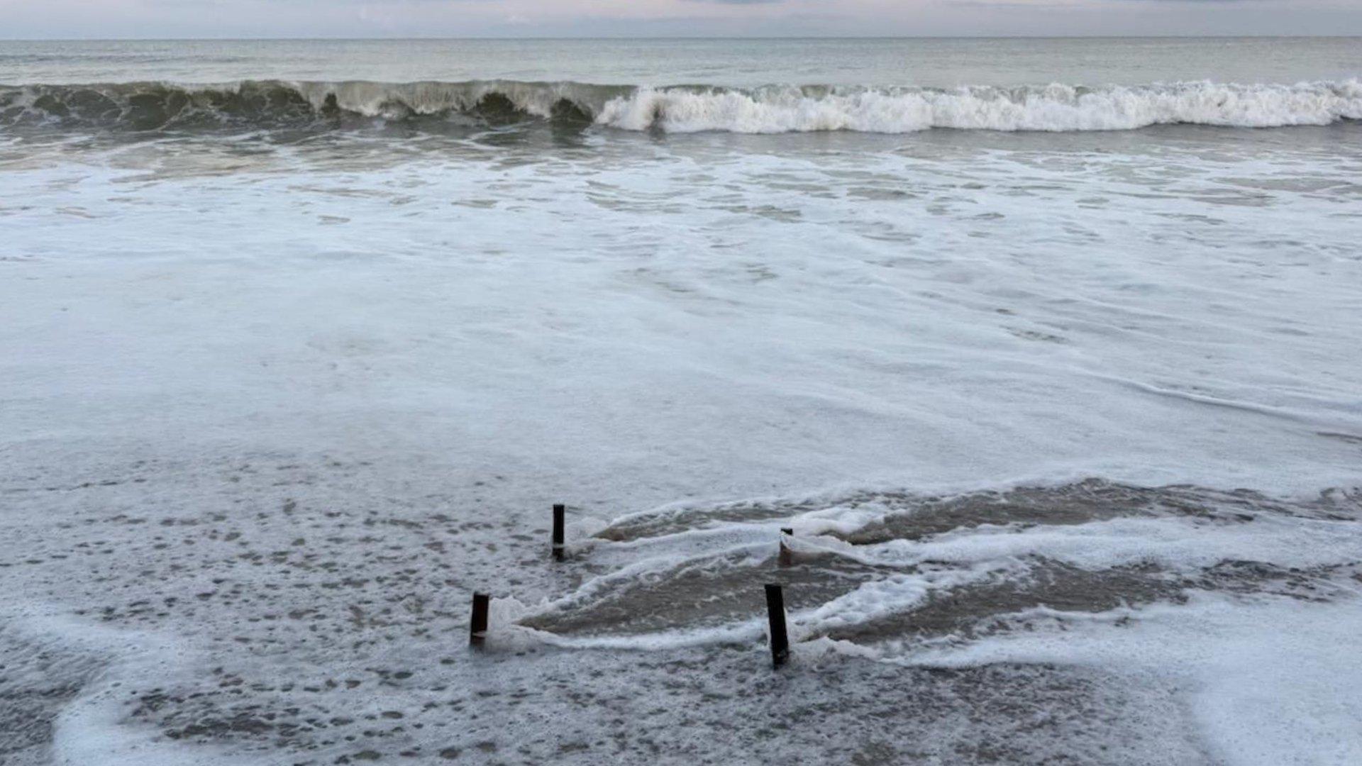 A washed out and flooded turtles nest on the coast of NC.