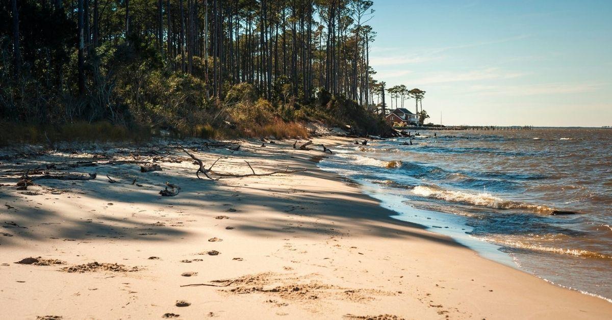 Fort Raleigh shoreline.