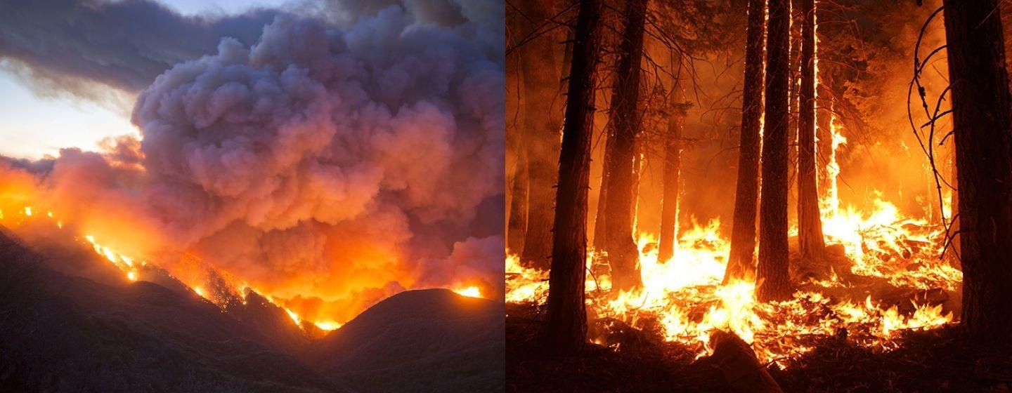 Image on the left: a valley of burning mountains with a big cloud of smoke above them. Image on the right: A forest of trees burns in fire.