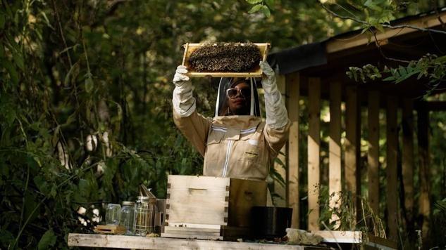 samantha winship beekeper holding shelf tray of bees