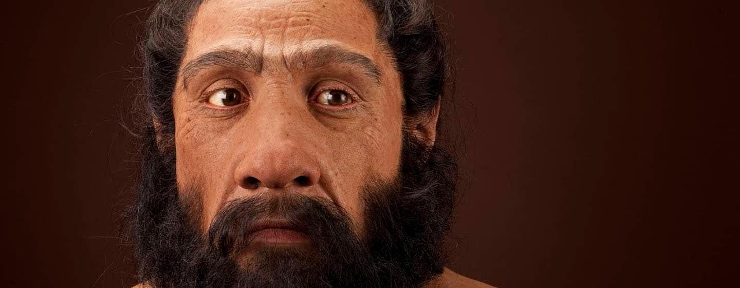 Reconstruction or modeling of Neandertal man