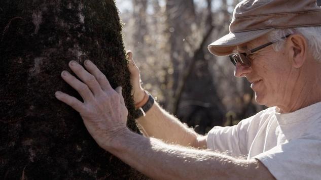 photo from side of man holding tree in his hands