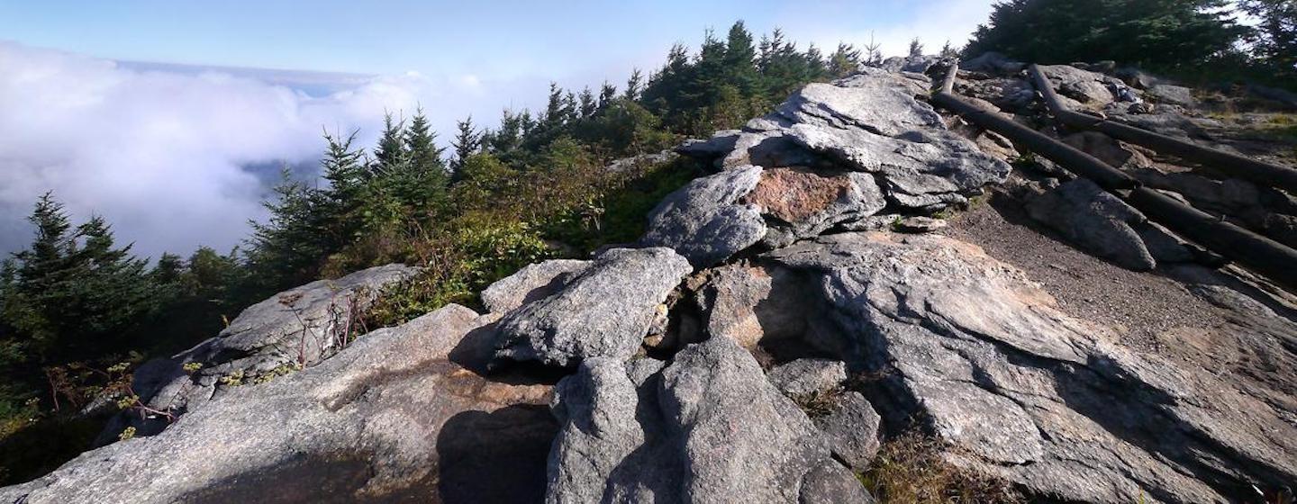 state park stony mountain top with spruce evergreen trees in background and clouds, fog