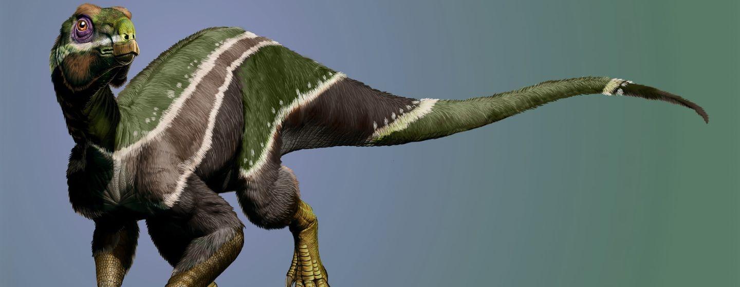 Illustration of a new, unique plant-eating dinosaur with green, black, and grey stripes on it.