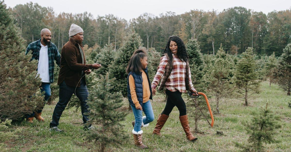 A black family walking through a pine tree farm.