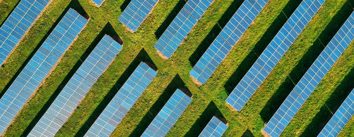 Aerial shot of solar panels and greenery