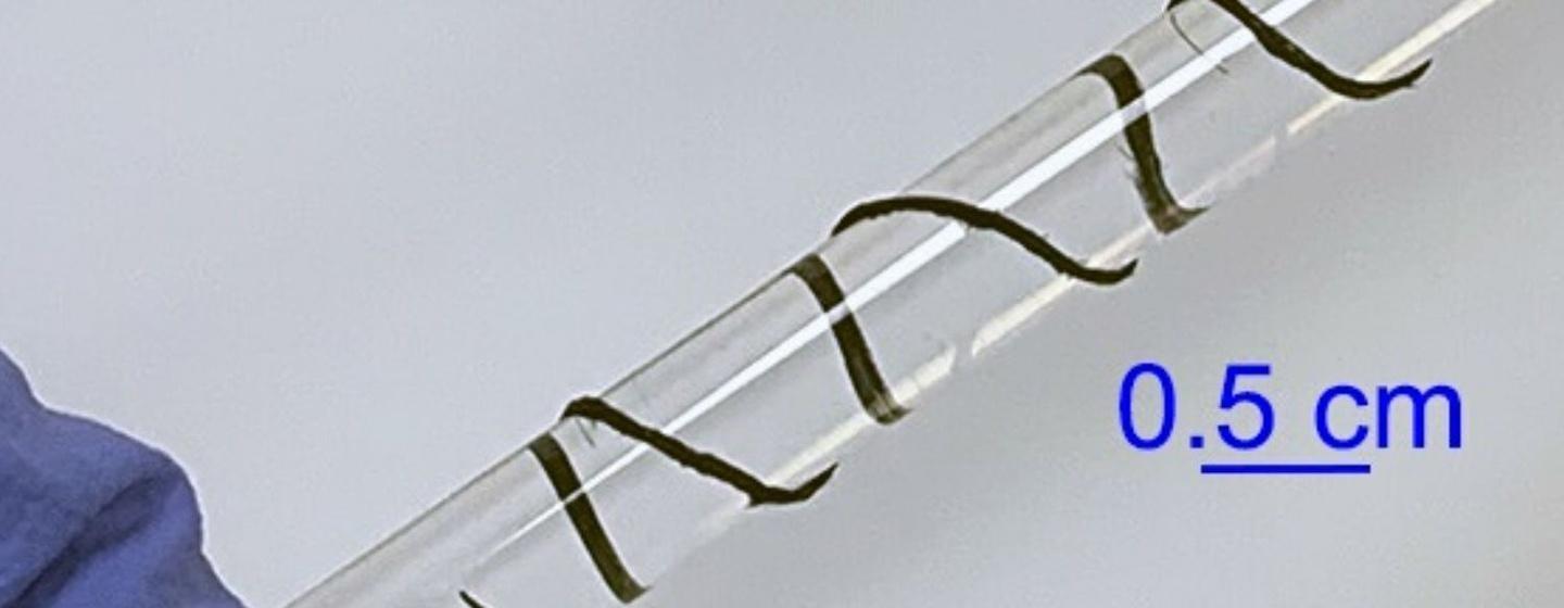 A clear tube is wrapped in a thin dark fabric. To the left is underlined blue text: 0.5 cm.