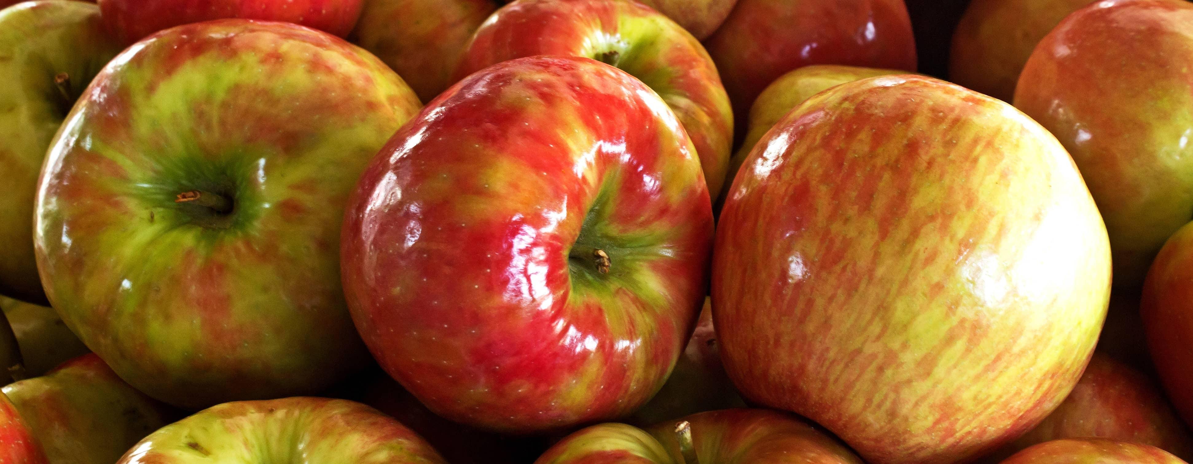 A pile of shiny red yellow and green mottled apples fill the frame.