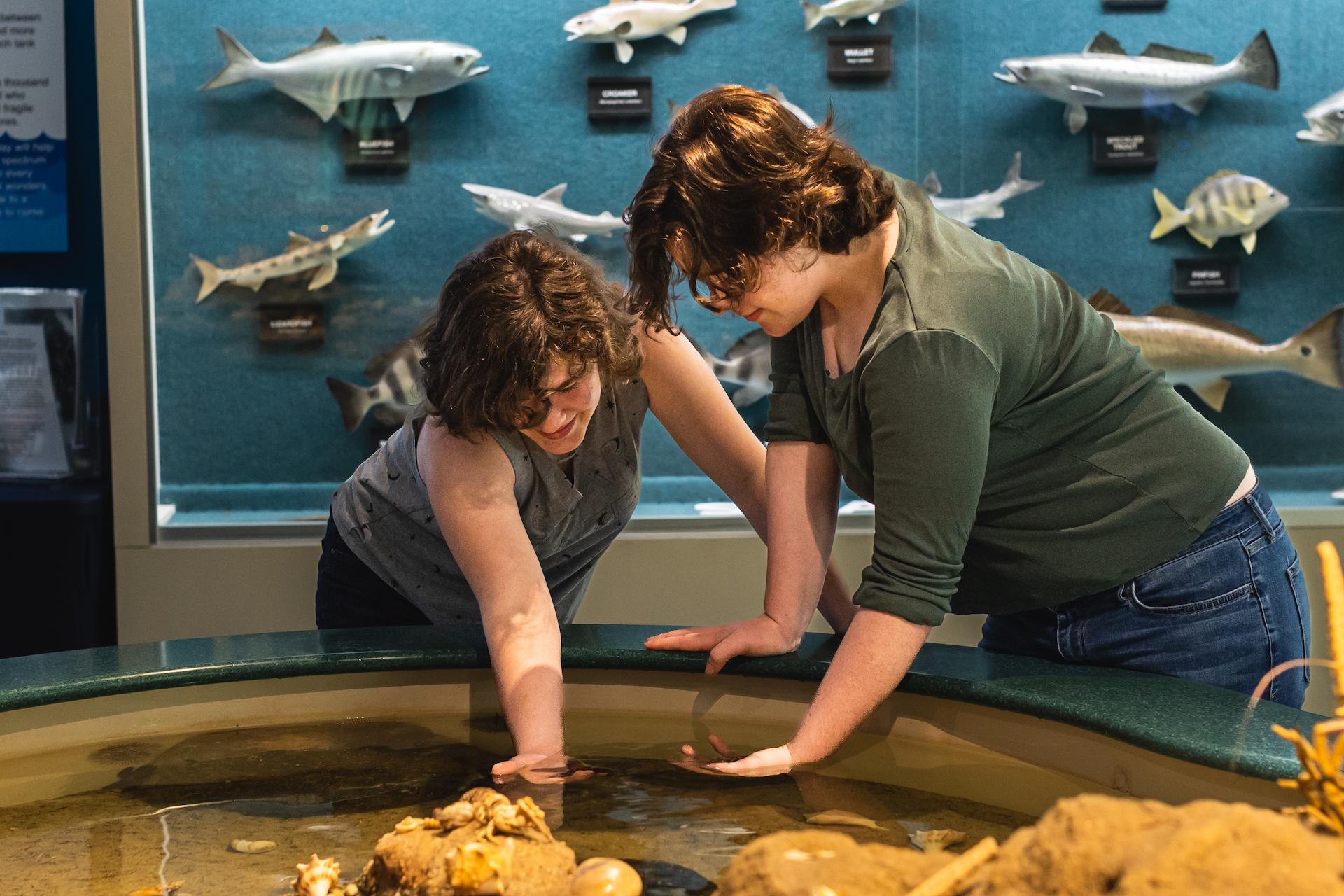 Two teenagers exploring the touch tank and the Museum of Coastal Carolina