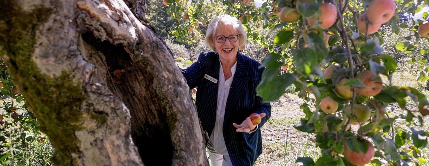 A white woman with short, white-blond hair stands under the canopy of an apple tree with branches full of green leaves and blushed pink apples. She wears a dark blue blazer and white shirt and reaches up to touch the trunk of the tree, which has a very large hole (about three feet) through it.