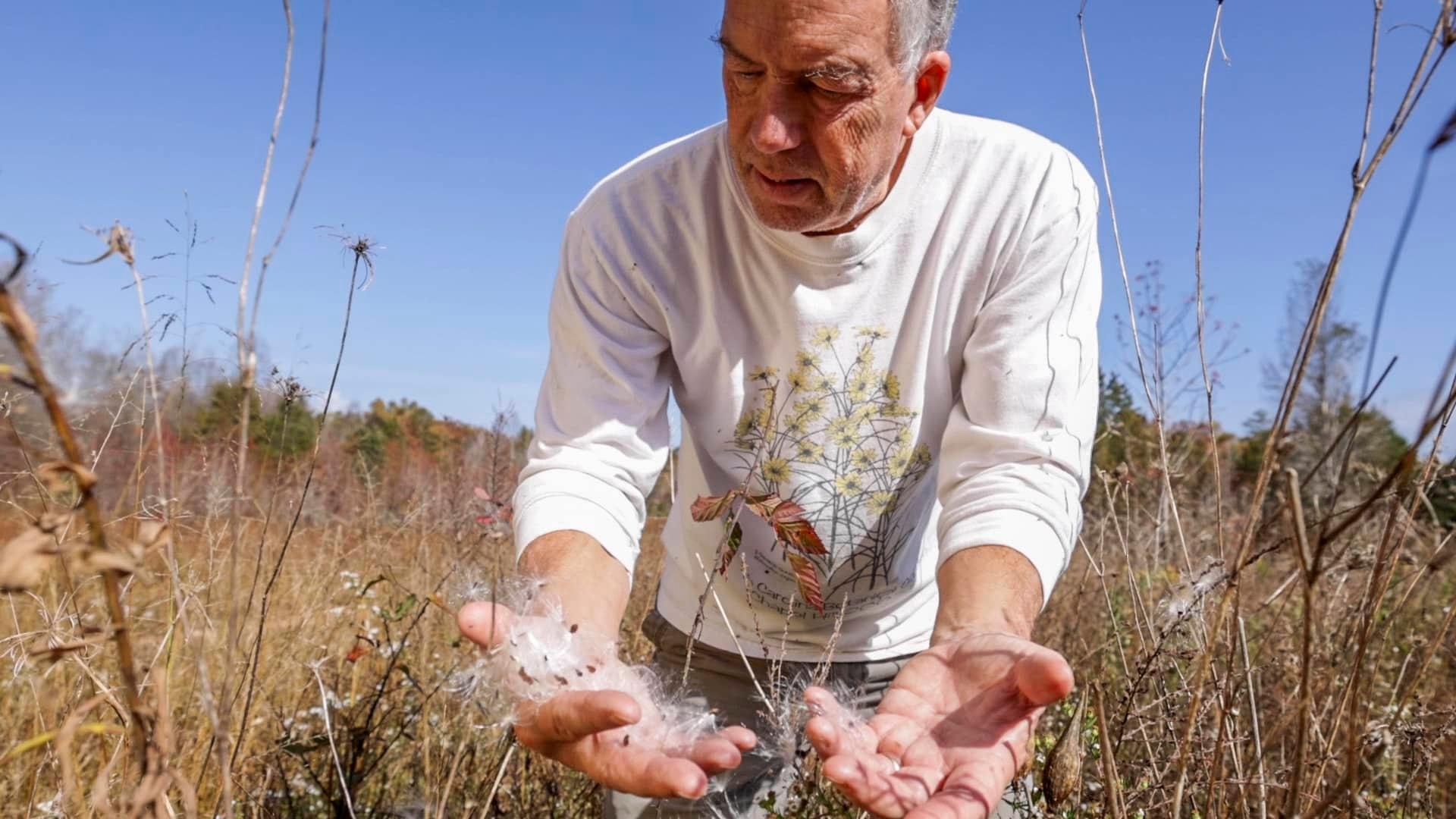 A man in a white long-sleeved T-shirt with wildflowers on it stands in a field of tall grasses with blue sky behind him. He is looking down at his hands, which are full of white fluffy milkweed seeds.
