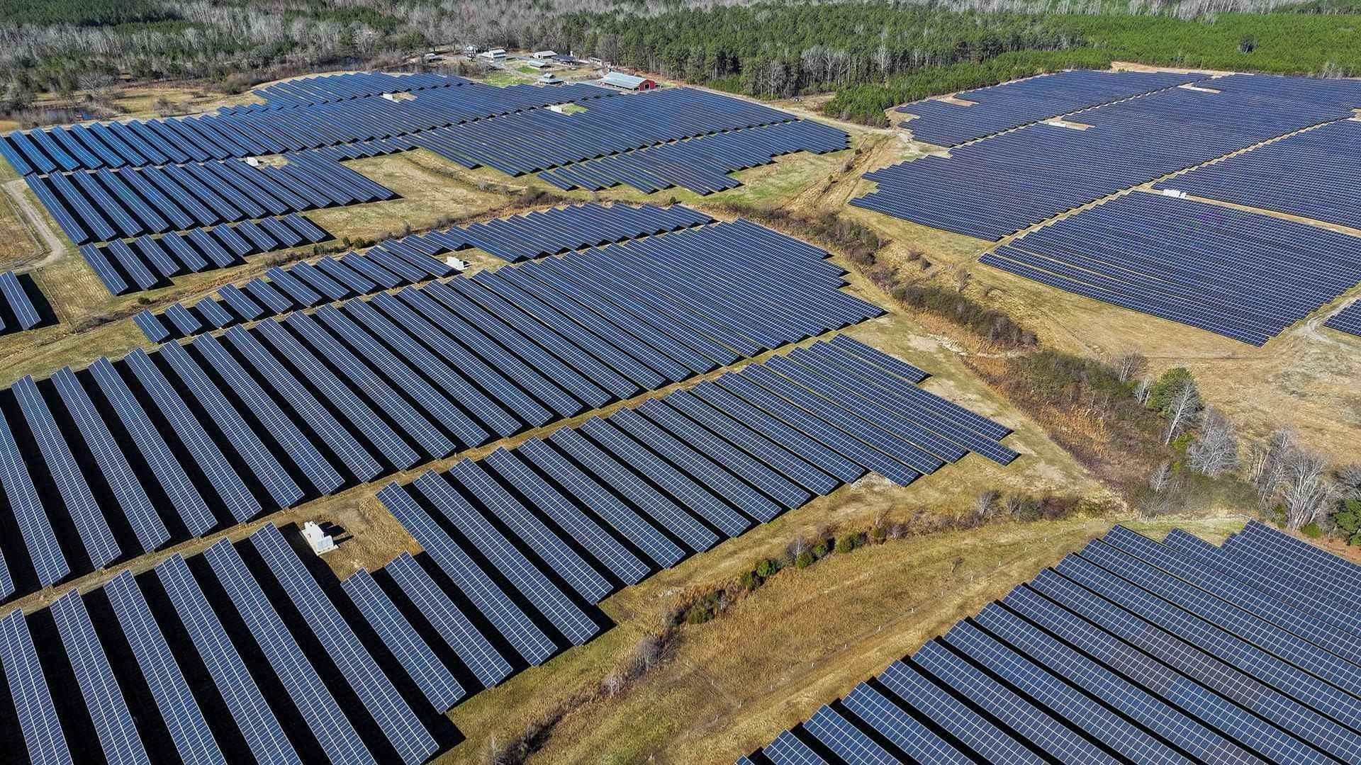 The Montgomery Sheep Farm spans 200-acres. When the sun is out, the farm’s solar installation generates enough power to supply nearby towns of Biscoe and Starr, NC.