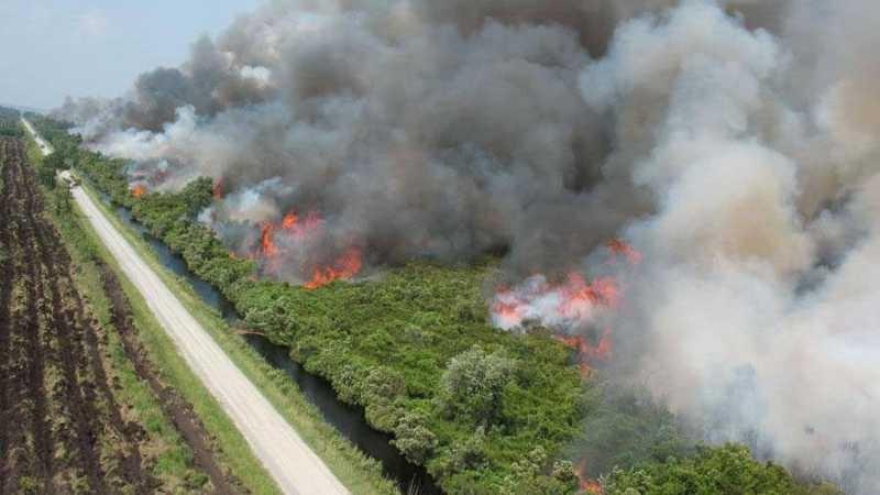 An aerial view of a field next to a gravel road. Orange flames burn in the greenery and huge plumes of smoke rise into the sky.