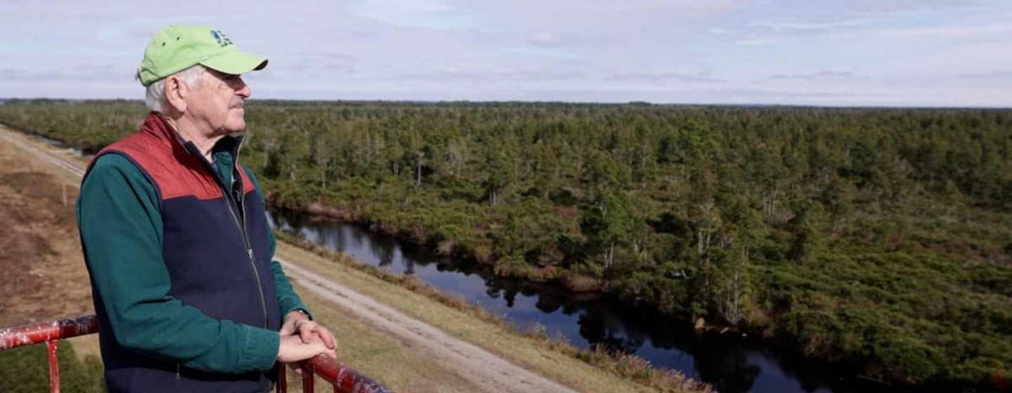 A man looks out over a green shrubby landscape that stretches to the horizon. There is a canal full of water along a road closest to him, and he is up at a high elevation in a fire tower.