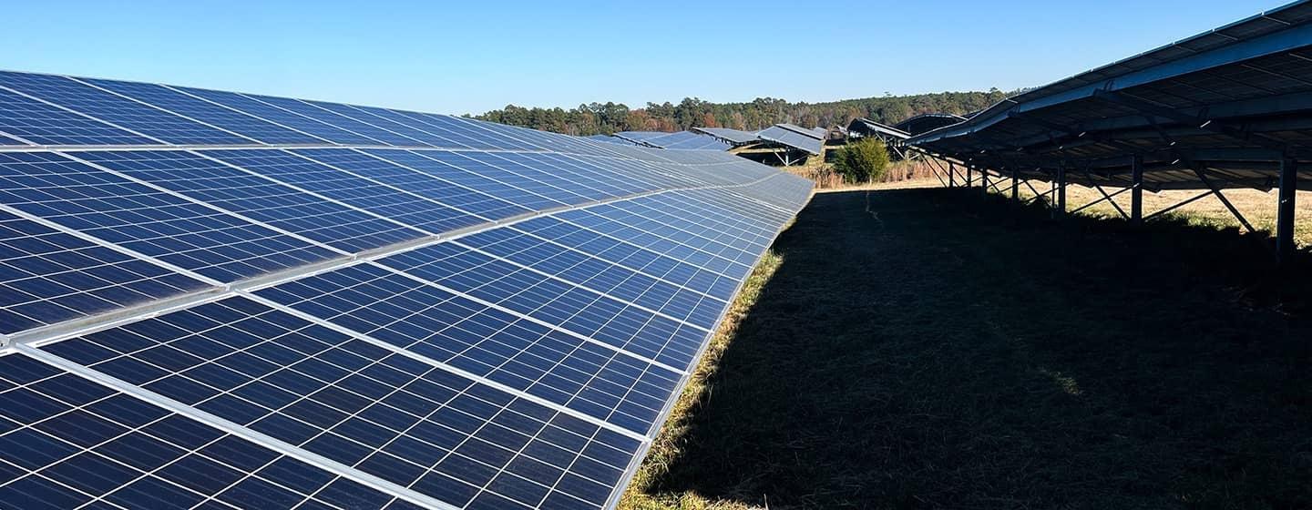 Solar panels in a field.