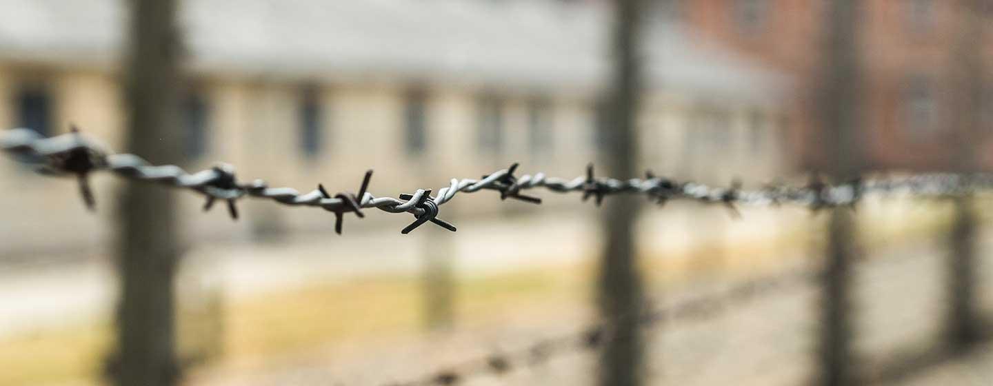 Barbed wire fence at concentration camp