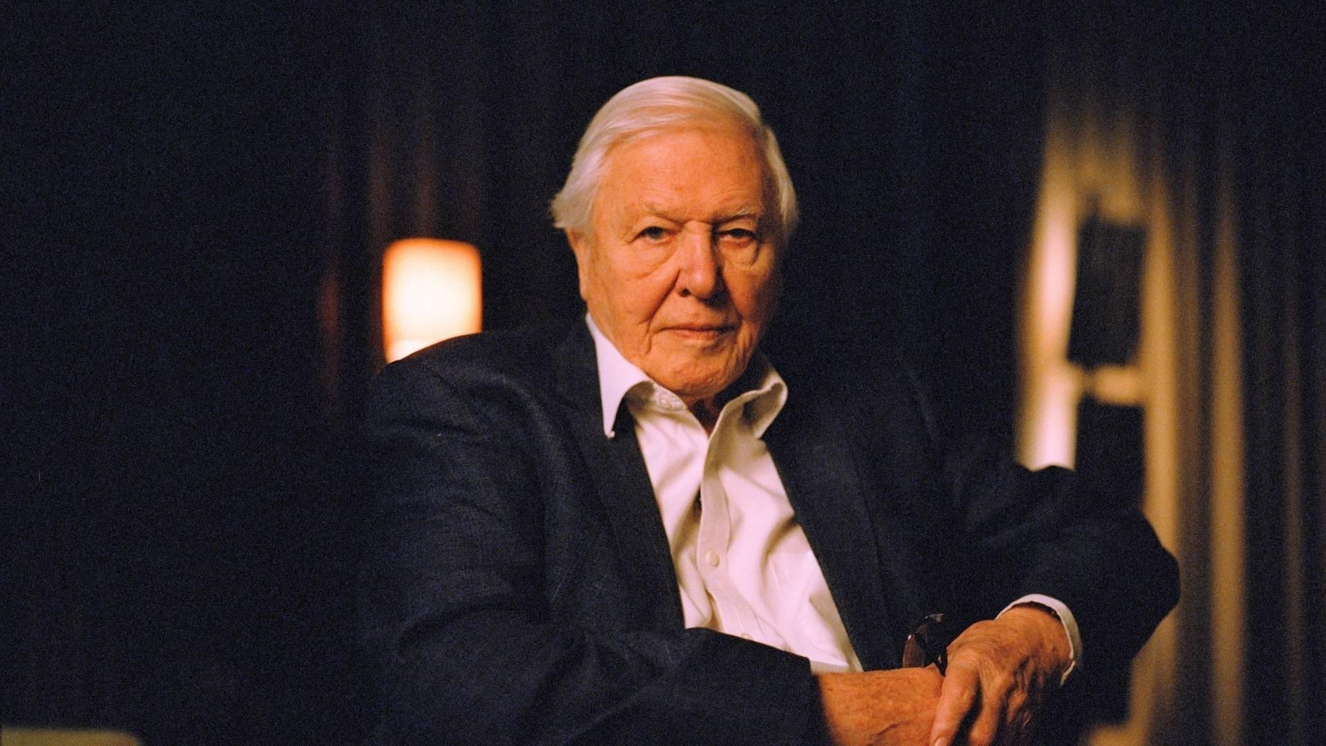 David Attenborough - Writer & Presenter, Life on Earth, 2024.
