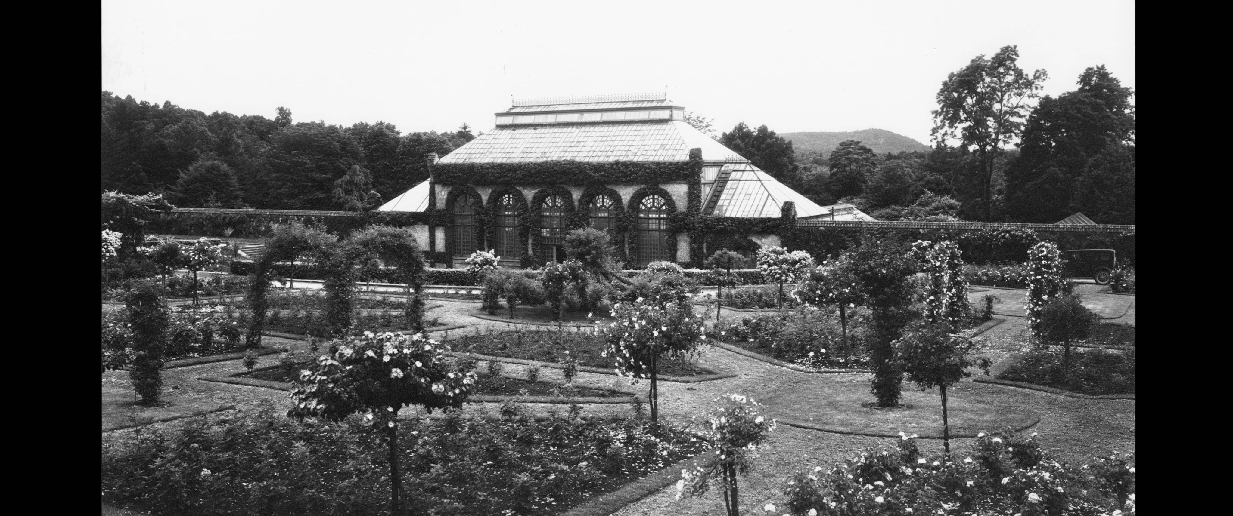 George Masa photo, Conservatory and Rose Garden, Biltmore Estate.