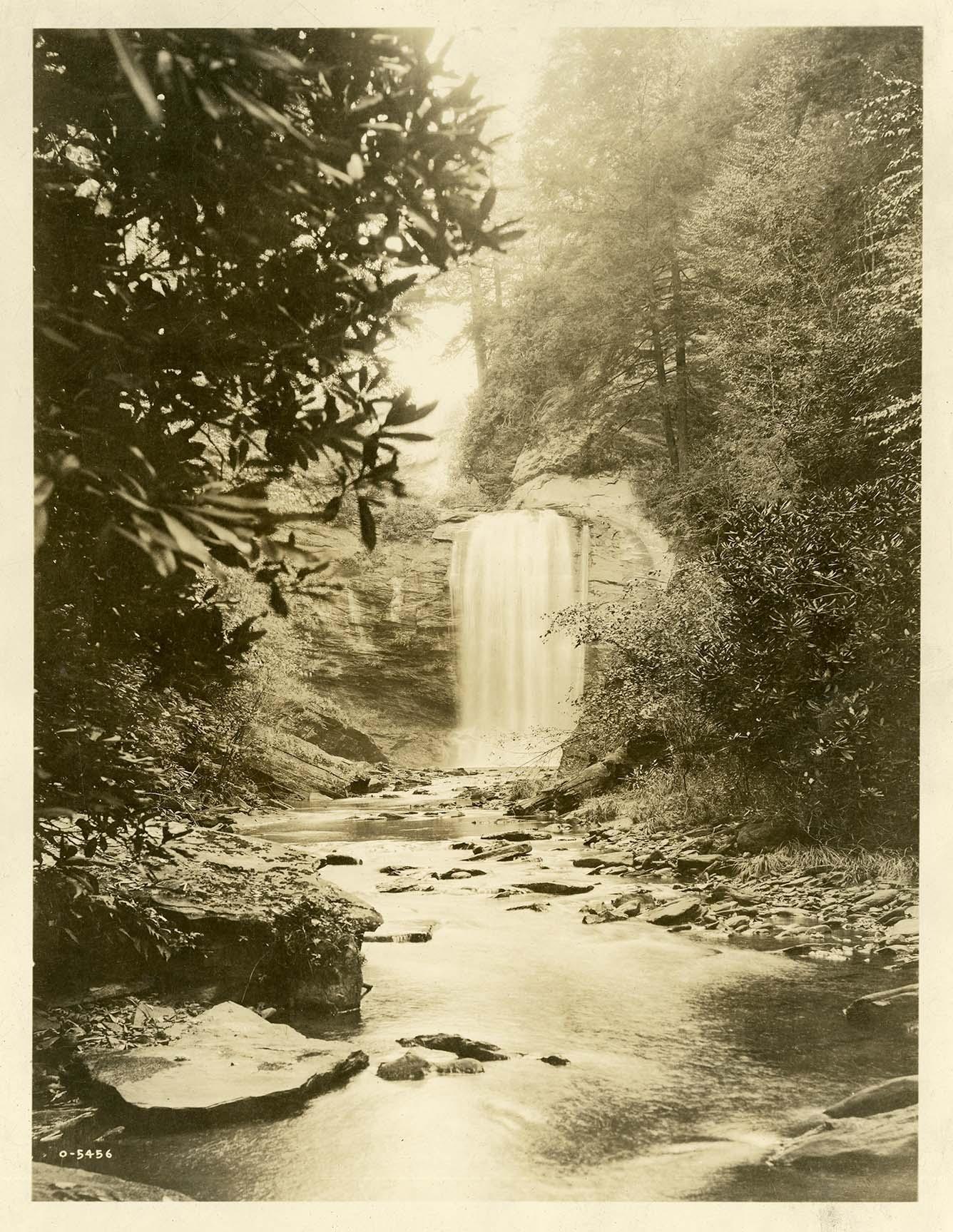 A monotoned image of Looking Glass Falls in Pisgah National Forest. Taken by photographer George Masa.