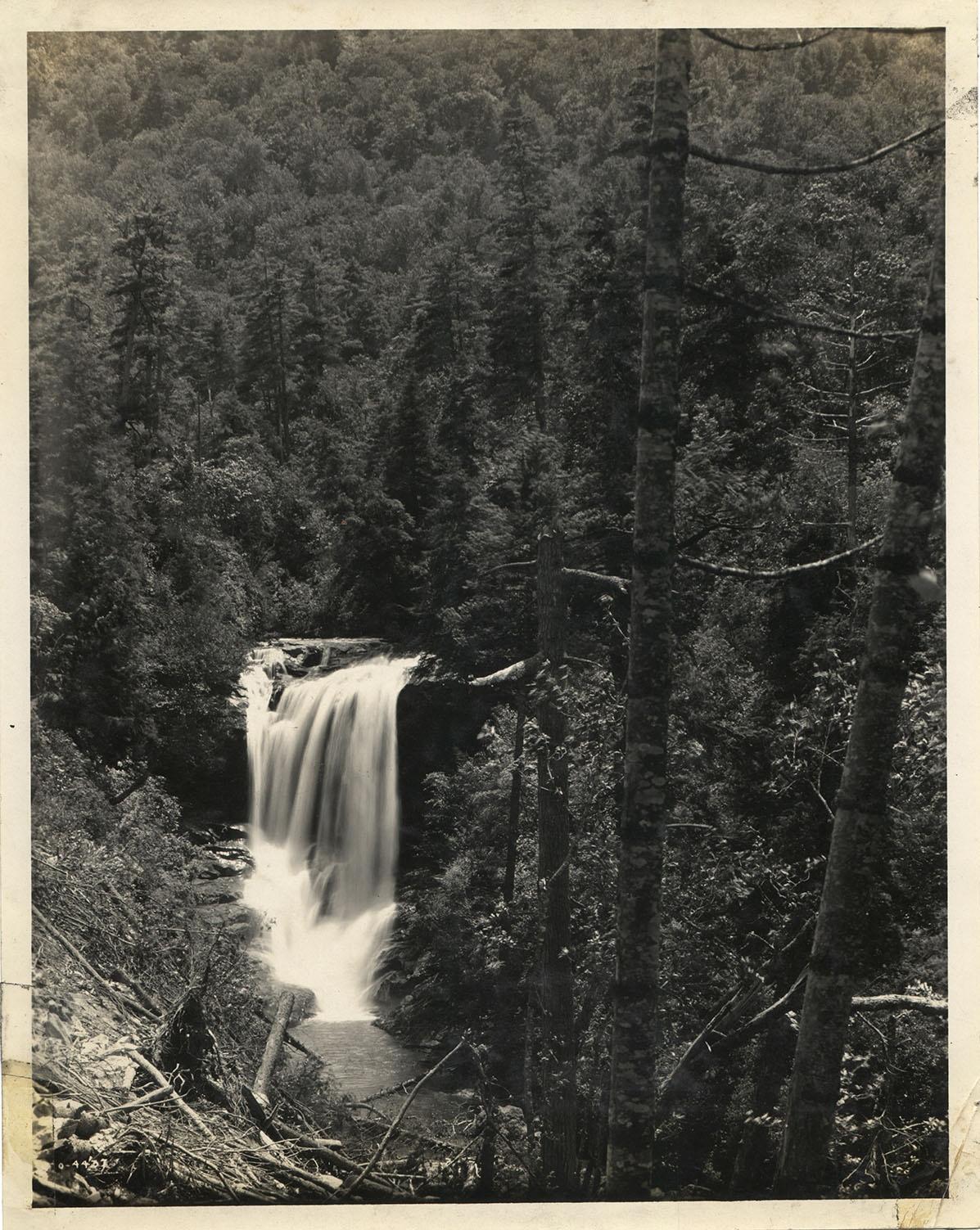 A monotone image of Cullasaja Falls. Taken by Photographer George Masa.
