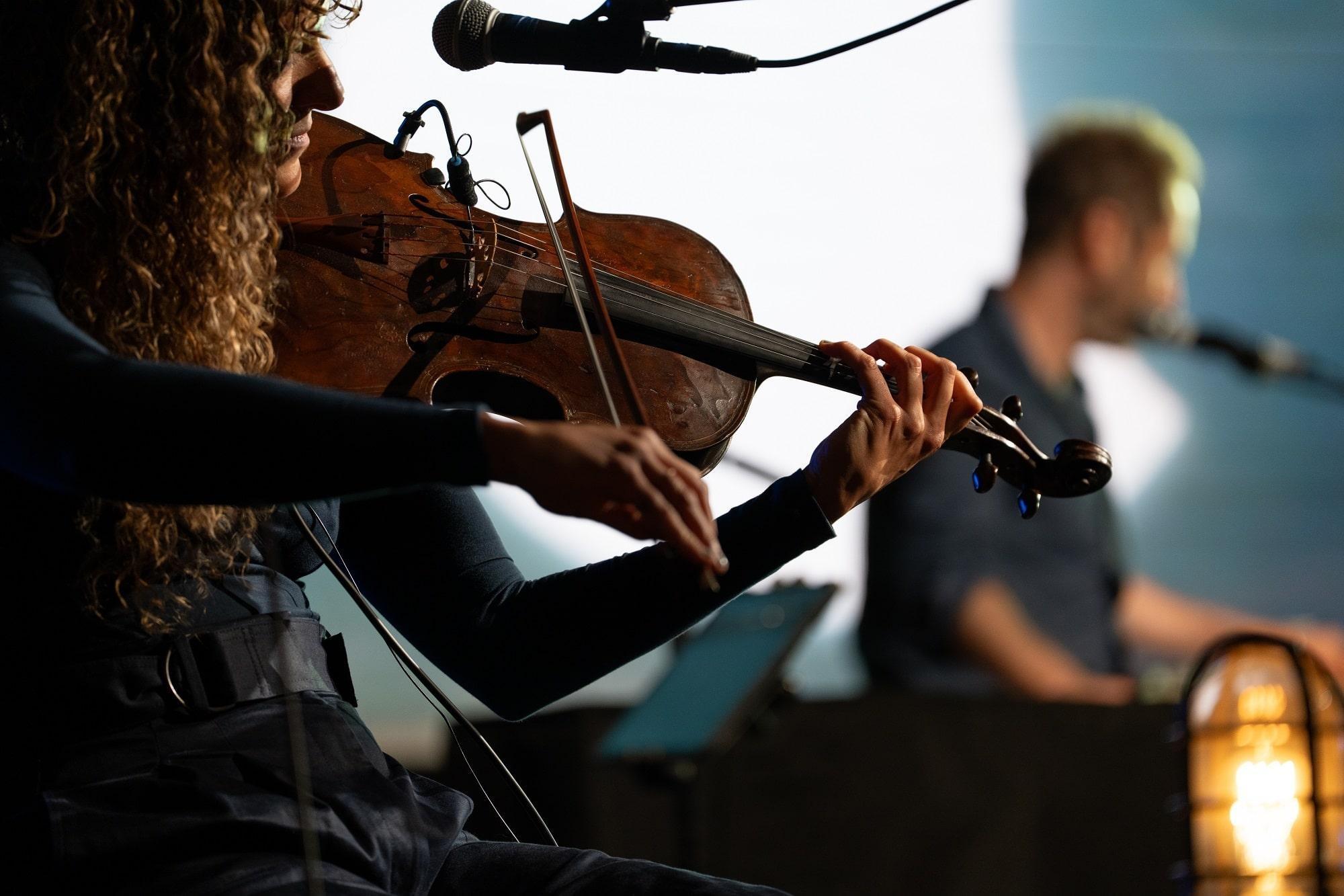 A woman played the fiddle for Iron & Wine.