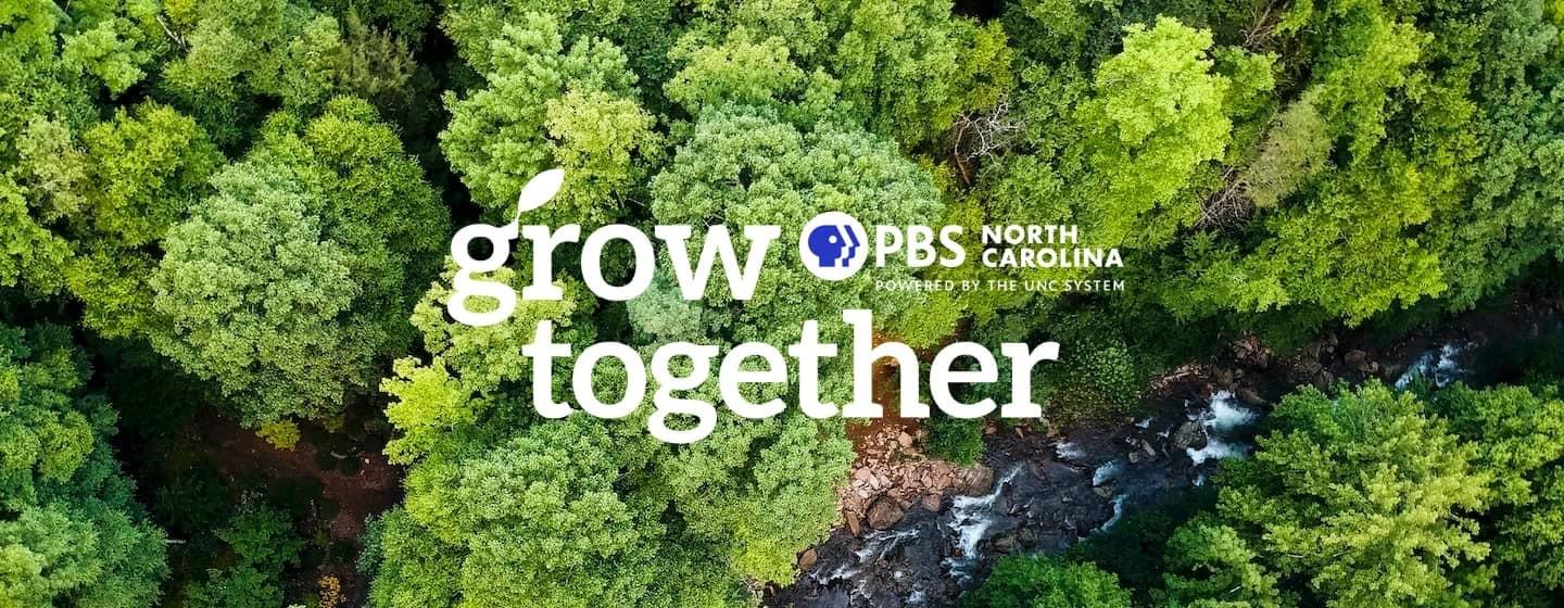 Grow together PBS logo on forest background.