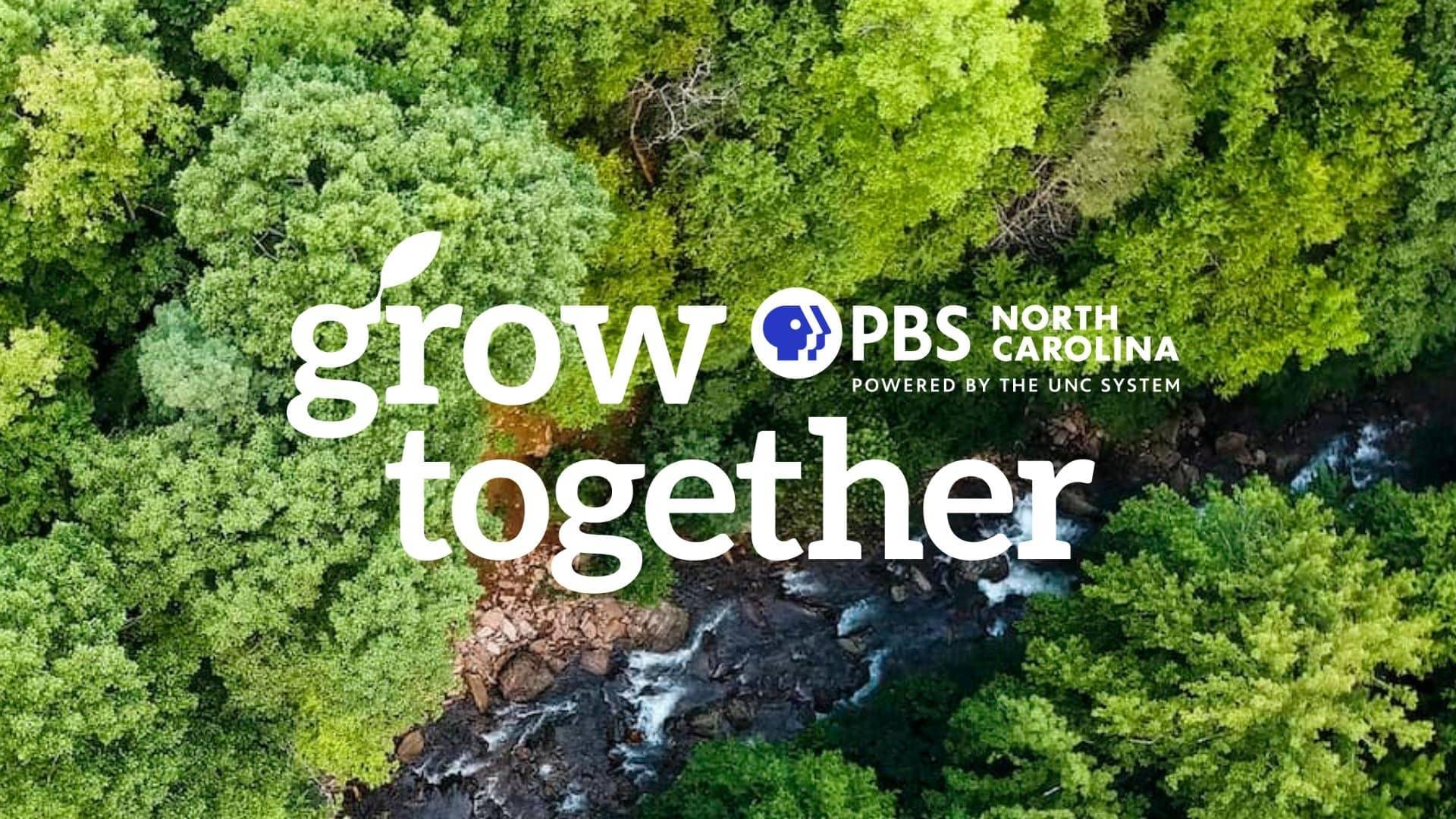 Grow together PBS logo on forest background.