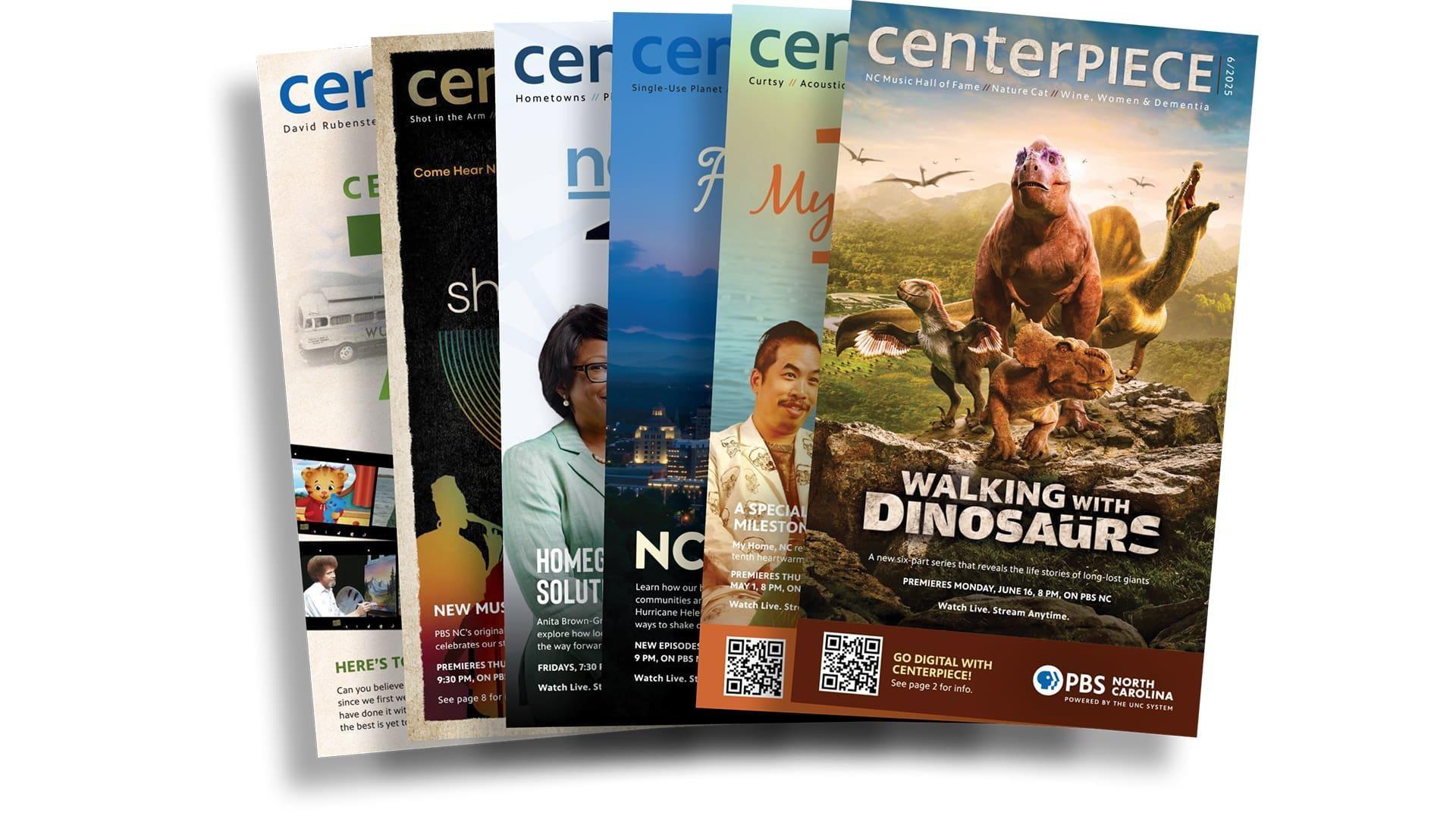 Assorted Center Piece Magazine covers