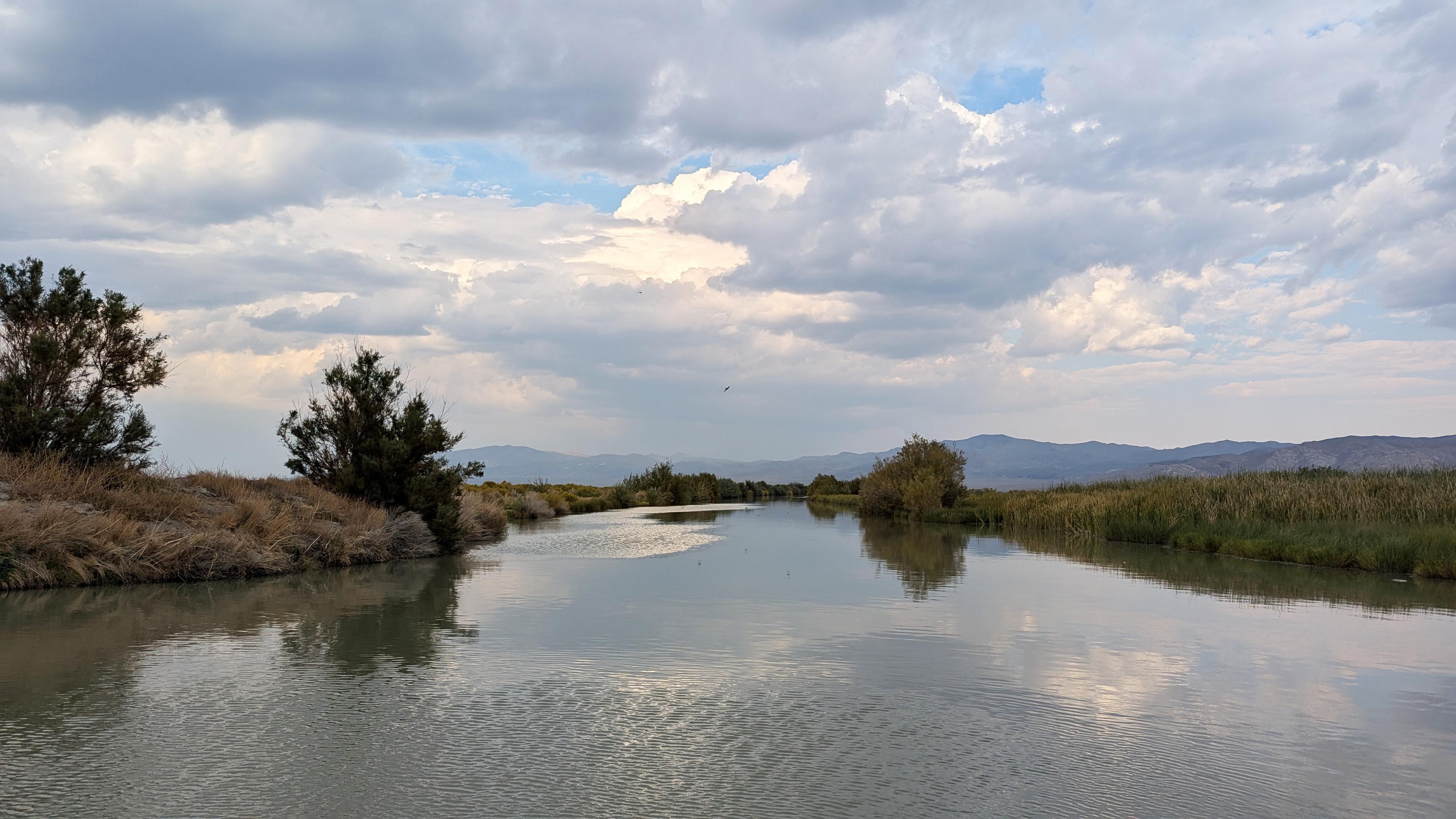 Wild Nevada | Episode 807