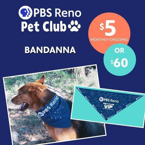 PBS Reno Pet Club