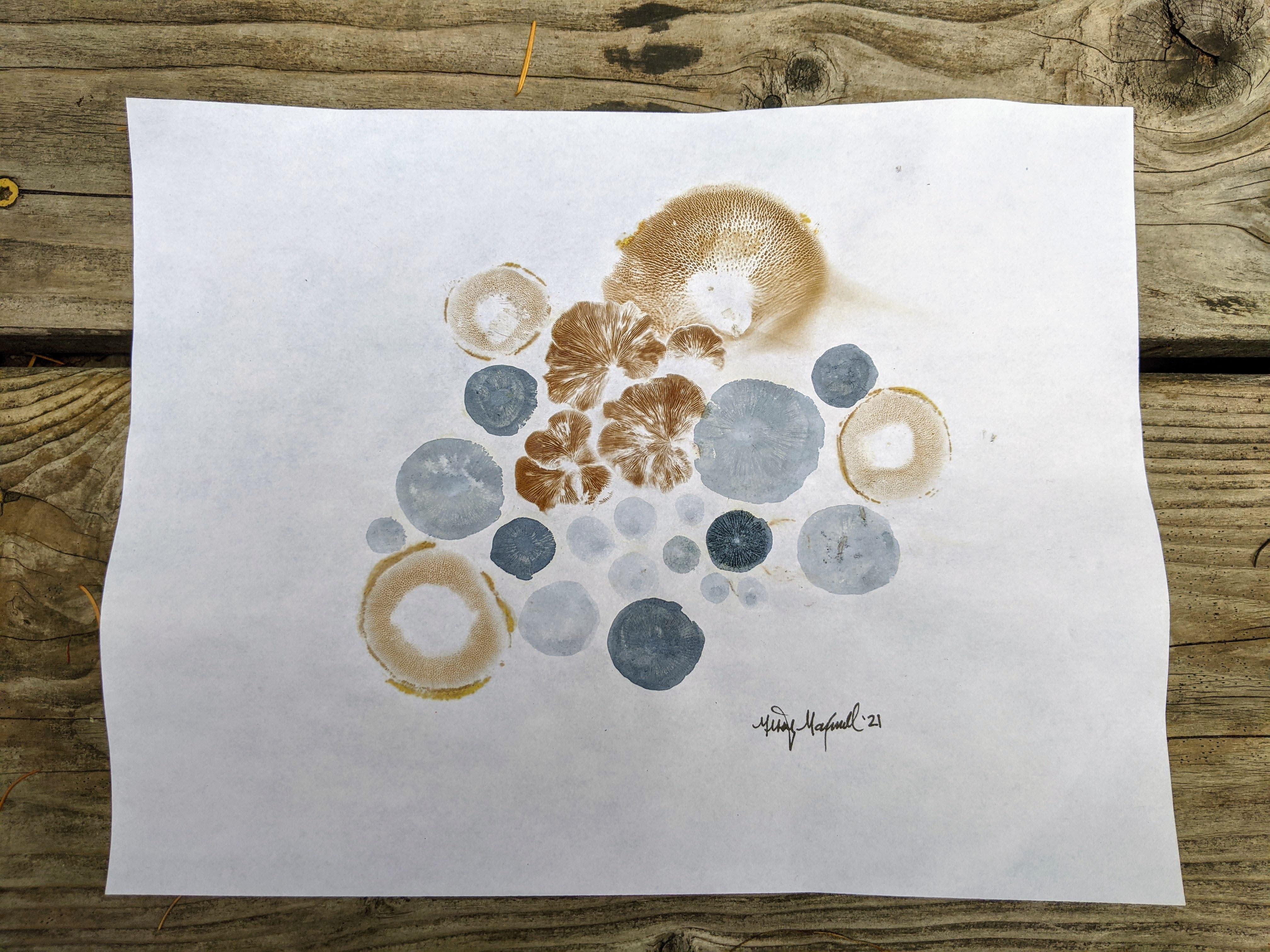 Mushroom Spore Print Art