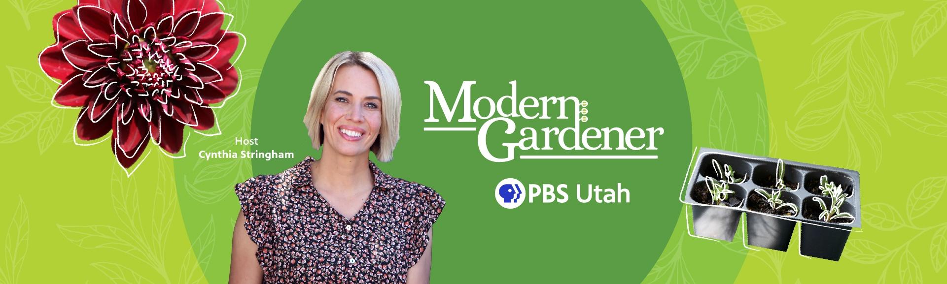 Modern Gardener Host is Cynthia Stringham