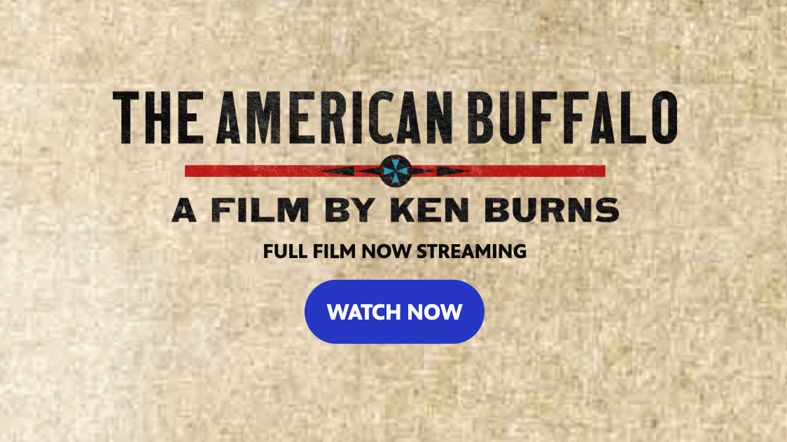 Watch The American Buffalo, a film by Ken Burns on PBS Utah