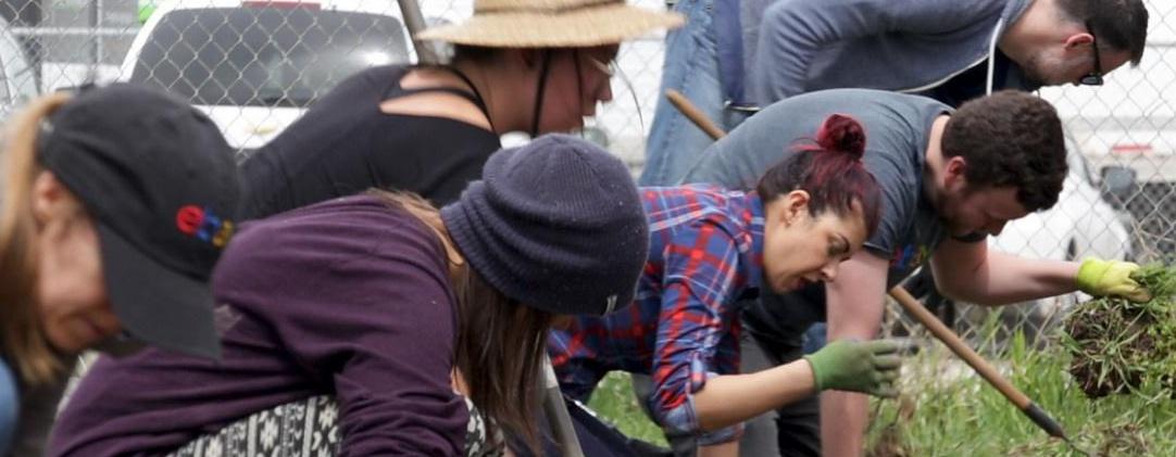 Row of people working at Green Urban Lunch Box