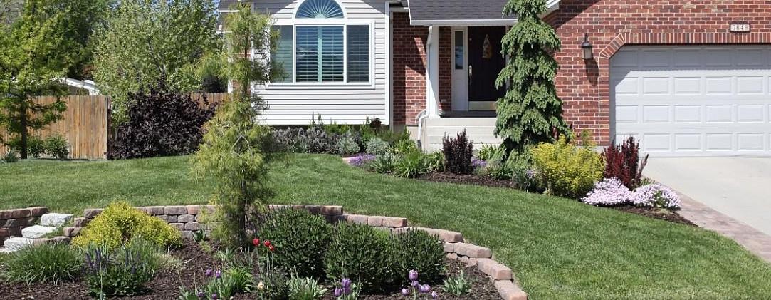 Suburban front yard