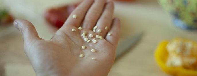 Handful of seeds