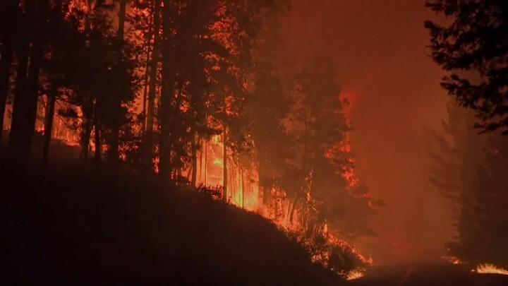 A forest on fire. 